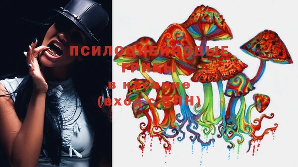 стафф Бронницы