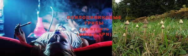стафф Бронницы